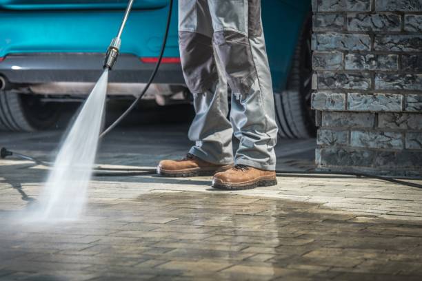 Best Paint Preparation  in Altadena, CA
