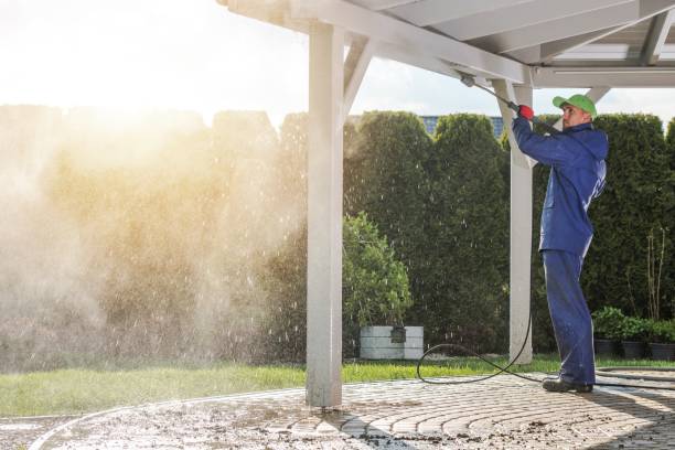 Animal Enclosure Cleaning in Altadena, CA